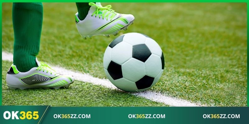 Đa dạng lựa chọn đầu tư sinh lời mỗi ngày